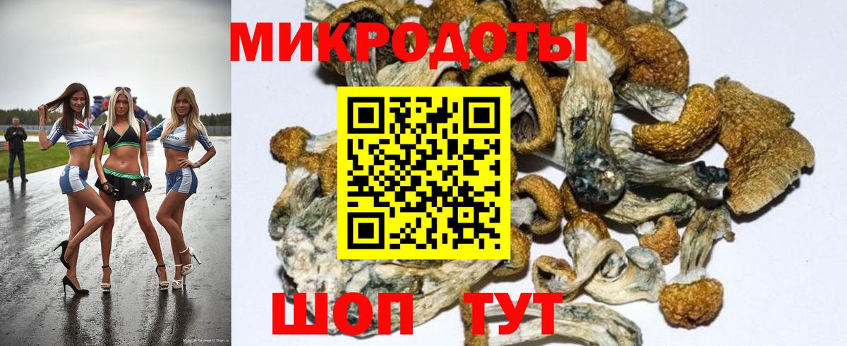 сколько стоит  Галлюциногенные грибы MAGIC MUSHROOMS  Орск  Вход с VPN  Псилоцибиновые грибы Cubensis 