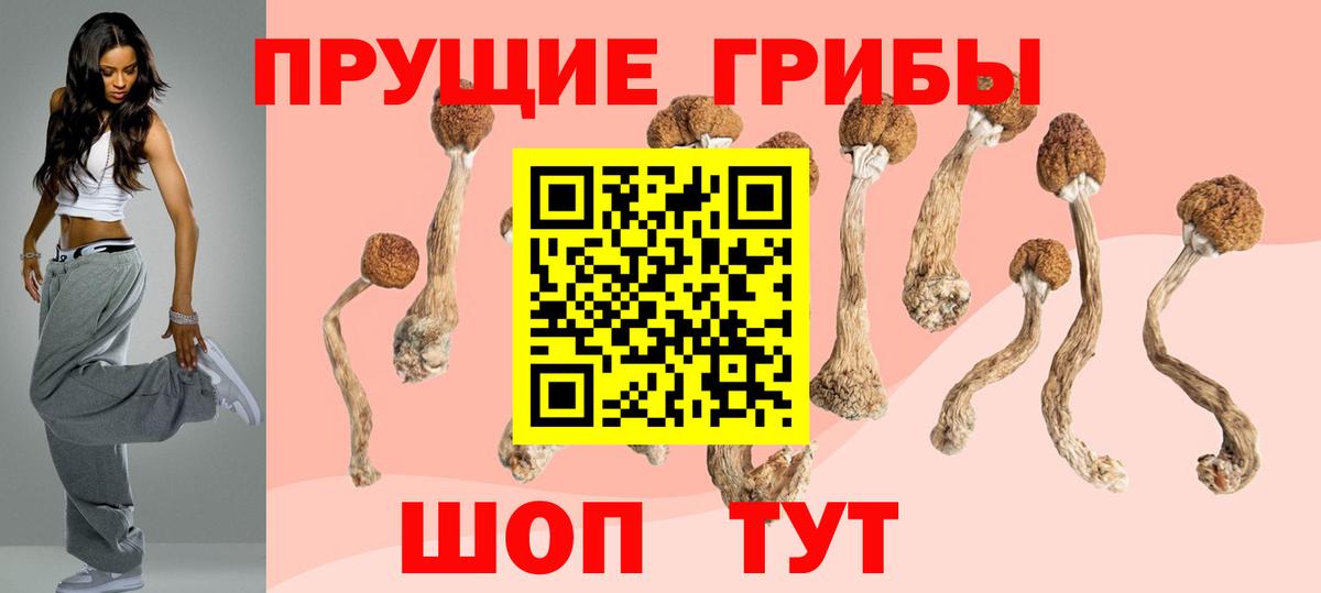 Галлюциногенные грибы Psilocybine cubensis Орск